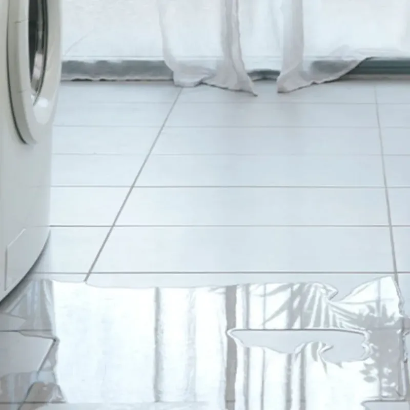 Appliance Leak Cleanup in Des Allemands, LA