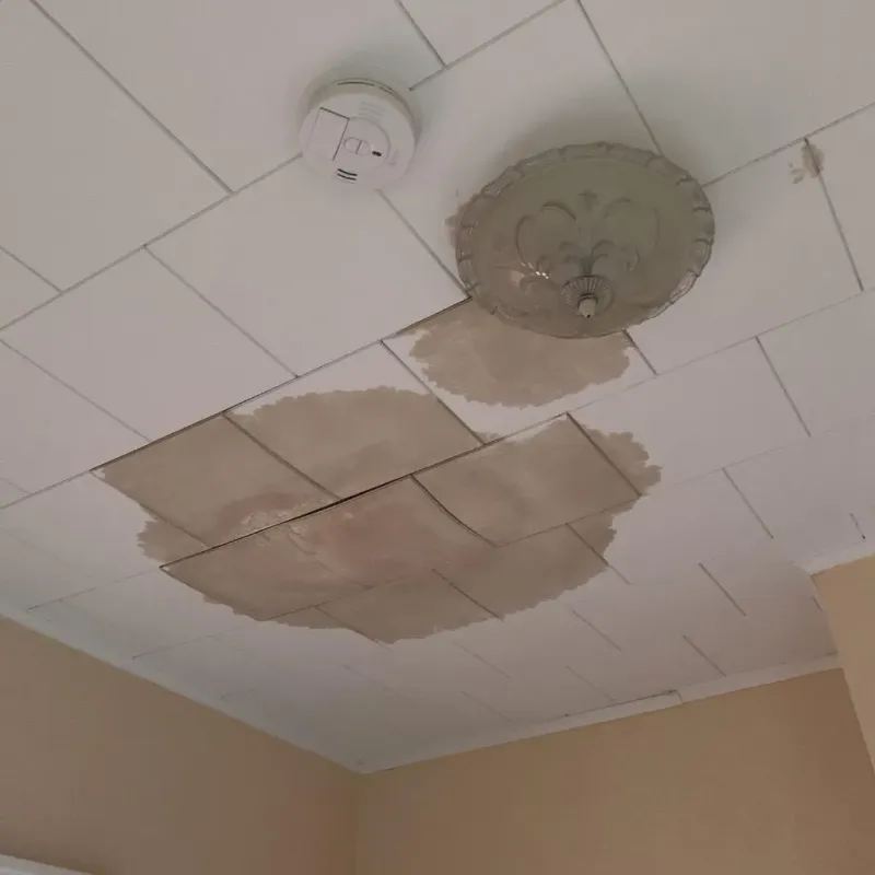Ceiling Water Damage Repair in Des Allemands, LA